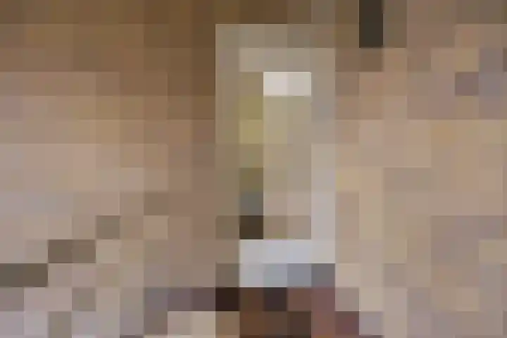 Florakade 78 Groningen thumbnail 11