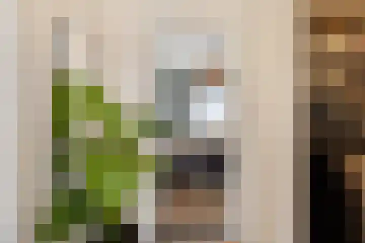 Florakade 78 Groningen thumbnail 22