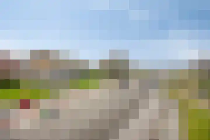 Florakade 78 Groningen thumbnail 33
