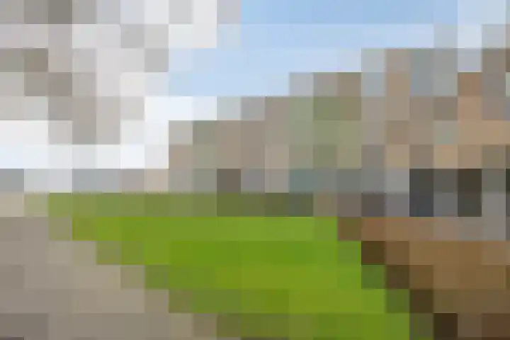 Florakade 78 Groningen thumbnail 6