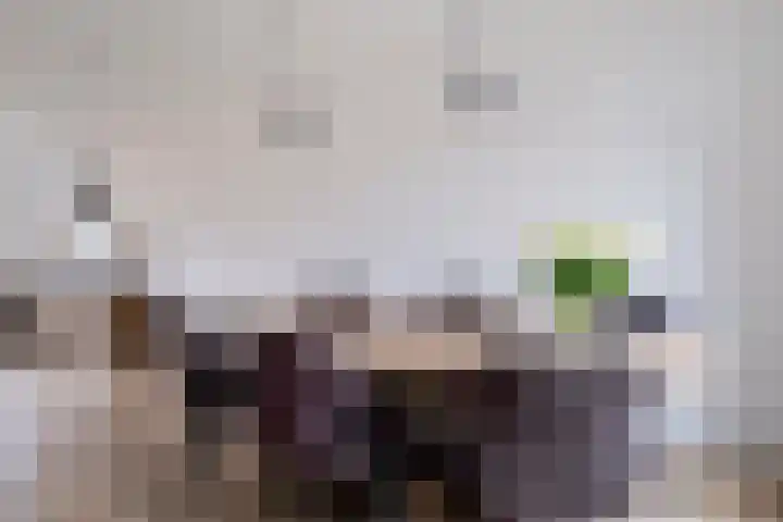 Floralaan 1 Bovensmilde thumbnail 12