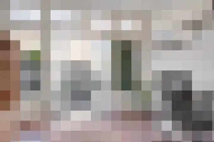 Floralaan 13 Pijnacker