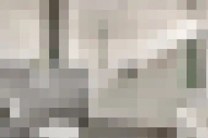 Floralaan 14 Maarheeze thumbnail 5