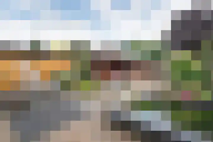 Floralaan 152 Hardenberg thumbnail 33
