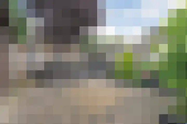 Floralaan 152 Hardenberg thumbnail 35