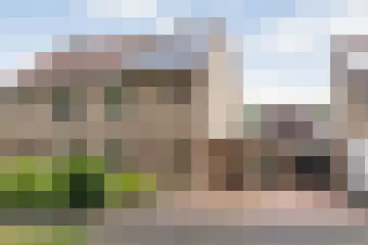Floralaan 152 Hardenberg thumbnail 4