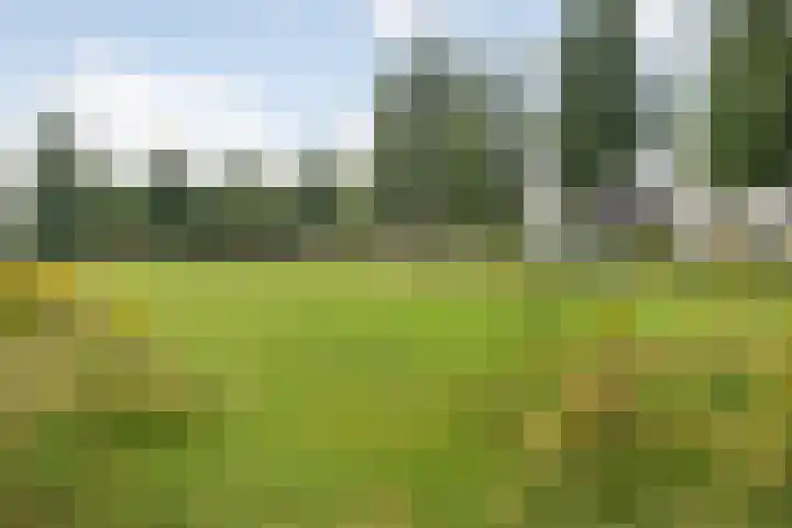 Floralaan 152 Hardenberg thumbnail 40