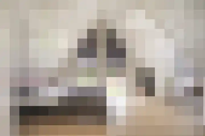Floralaan 3 Elst thumbnail 30