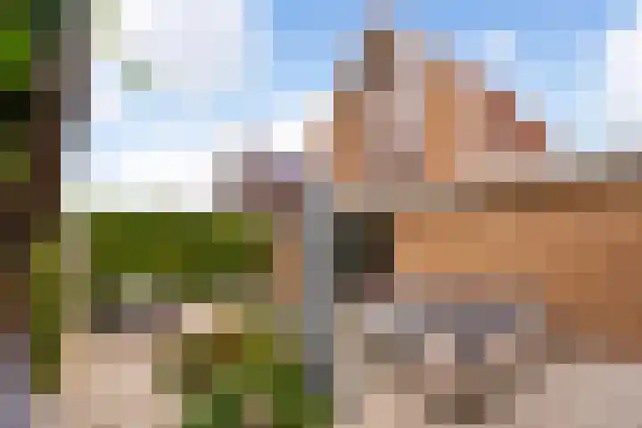 Floralaan 3 Elst thumbnail 32