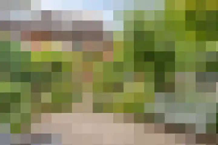 Floralaan 35 Boxmeer thumbnail 4