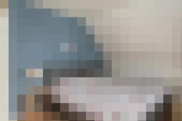Floralaan 6 Bovensmilde thumbnail 30