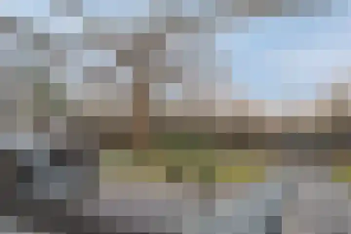 Floralaan 6 Bovensmilde thumbnail 35