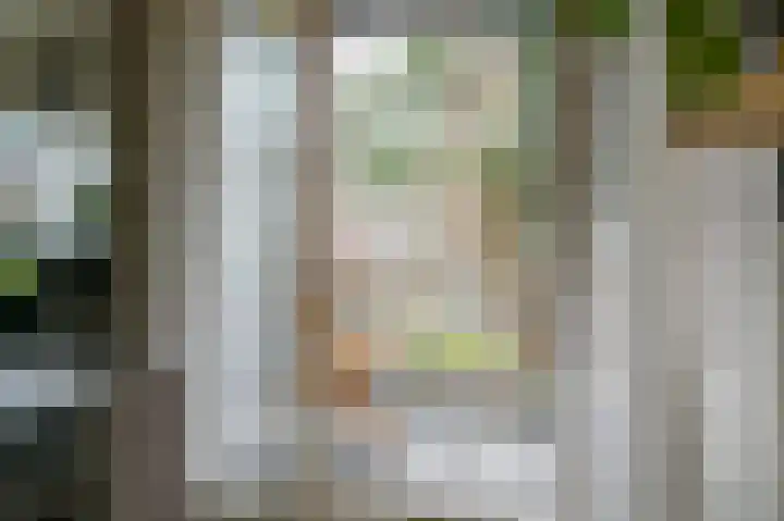 Floralaan 6 Bovensmilde thumbnail 4