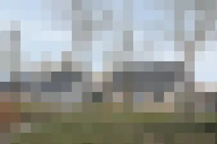 Floralaan 6 Bovensmilde thumbnail 43