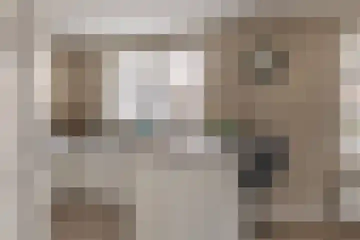 Floralaan 6 Bovensmilde thumbnail 7