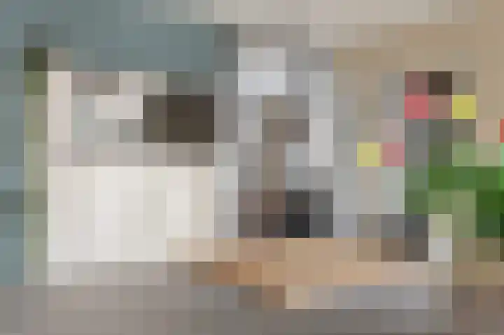 Floralaan 6 Bovensmilde thumbnail 9