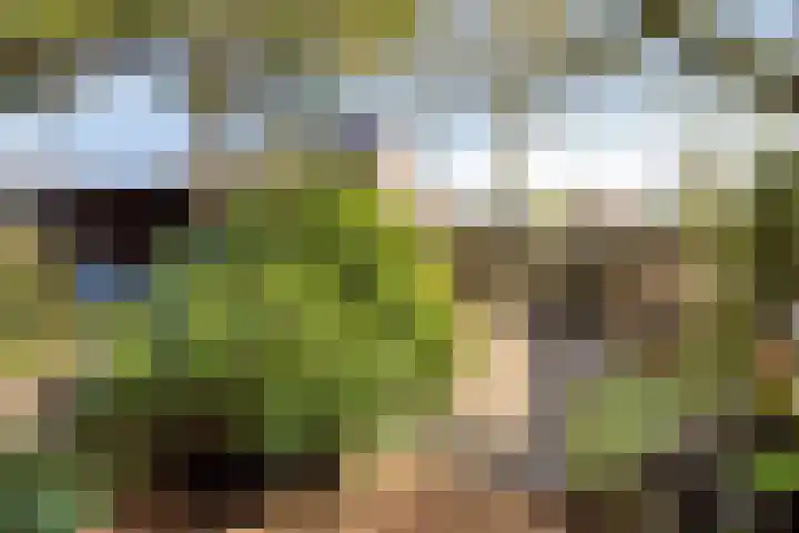 Florasingel 33 Roermond thumbnail 34