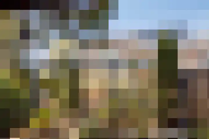 Florasingel 33 Roermond thumbnail 35
