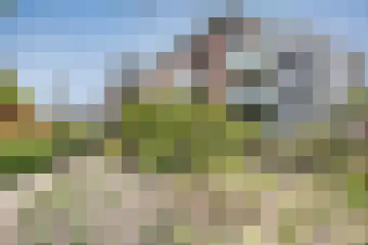 Florastate 38 Eindhoven thumbnail 27