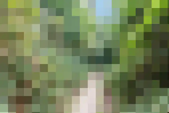 Florastate 38 Eindhoven thumbnail 29