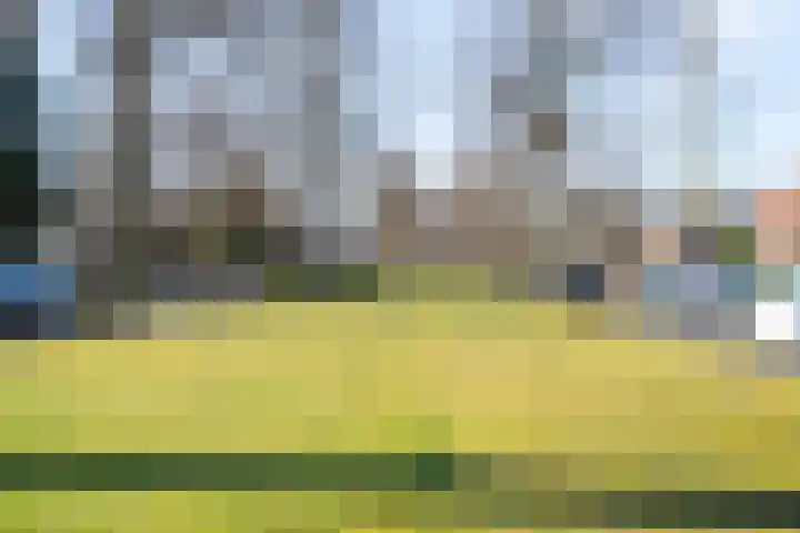 Florastate 38 Eindhoven thumbnail 37