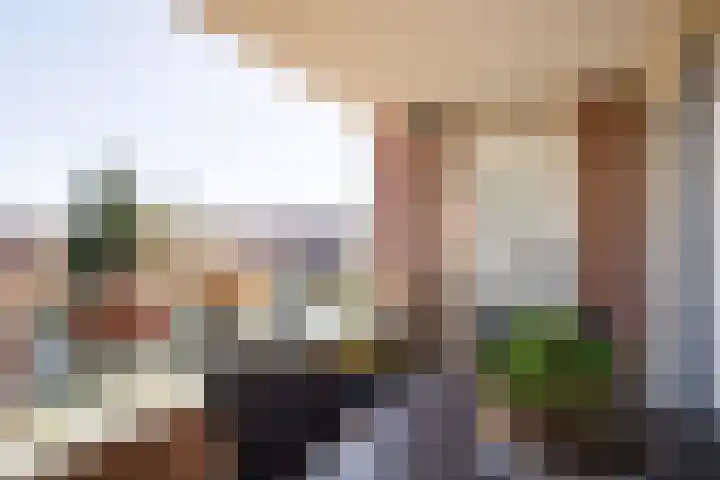 Florastate 38 Eindhoven thumbnail 4