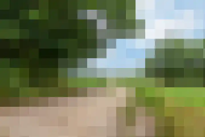 Florastate 38 Eindhoven thumbnail 40