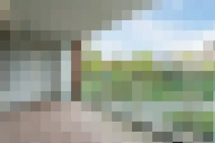 Florastate 4 Eindhoven thumbnail 24