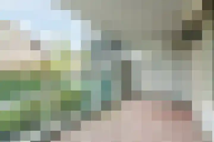 Florastate 4 Eindhoven thumbnail 26