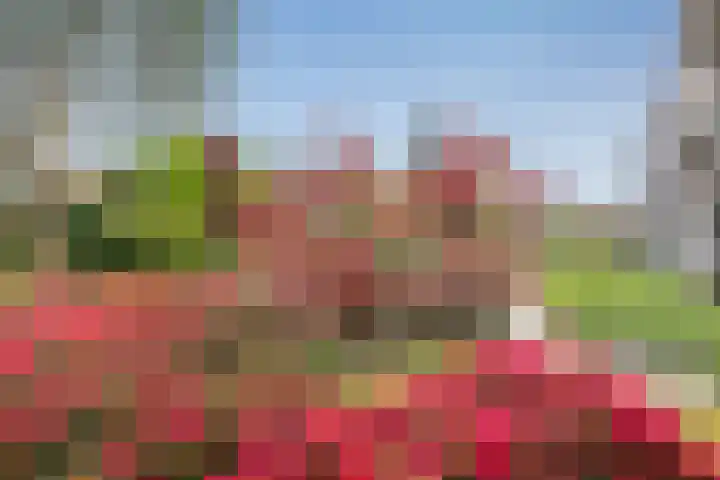 Florastate 4 Eindhoven thumbnail 28