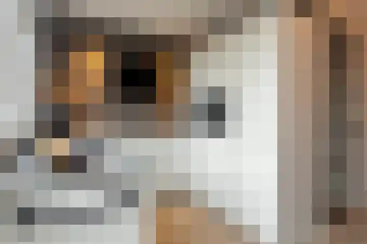 Florastraat 4 Blokker thumbnail 13