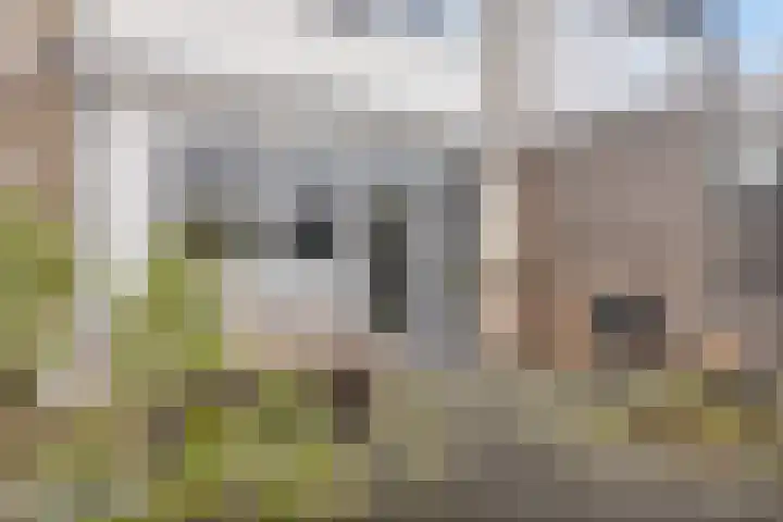 Florastraat 4 Blokker thumbnail 32