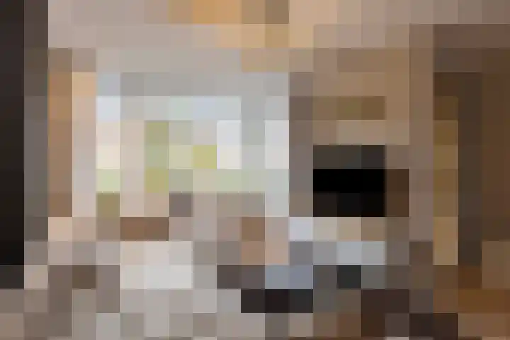Florastraat 4 Blokker thumbnail 6