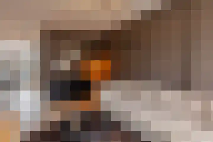 Florastraat 4 Blokker thumbnail 7