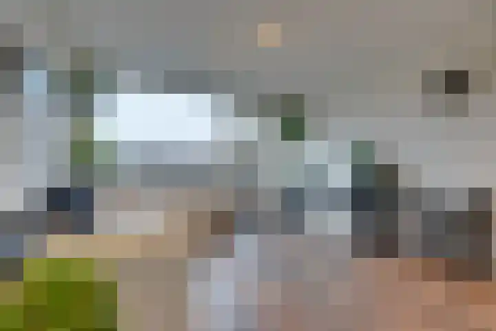 Floraweg 69 Amsterdam thumbnail 10