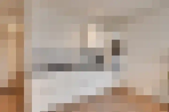Floraweg 69 Amsterdam thumbnail 14