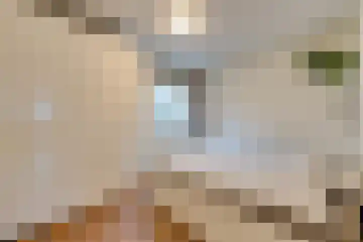 Floraweg 69 Amsterdam thumbnail 21
