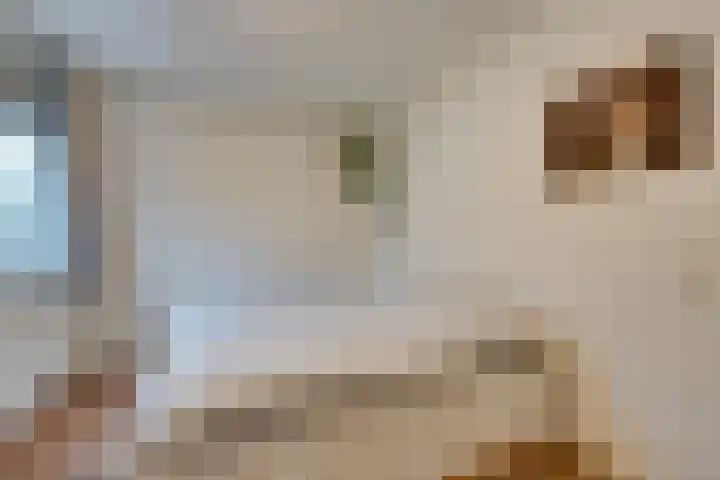 Floraweg 69 Amsterdam thumbnail 22