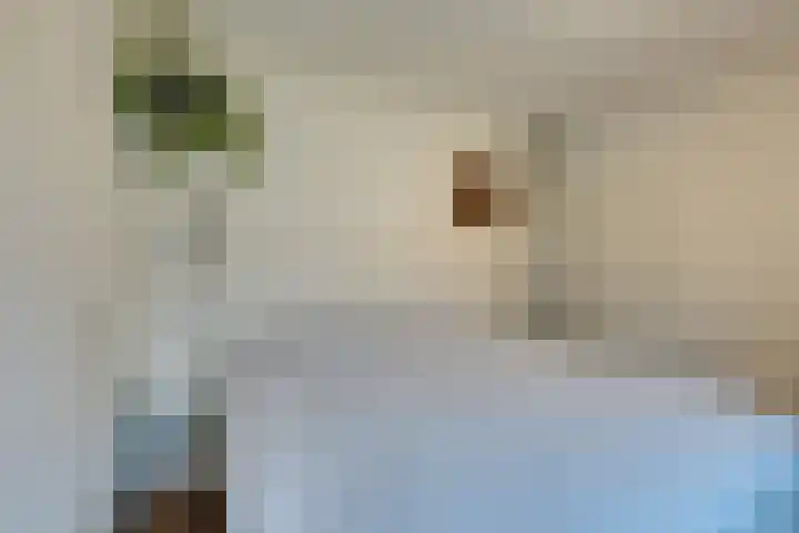 Floraweg 69 Amsterdam thumbnail 26