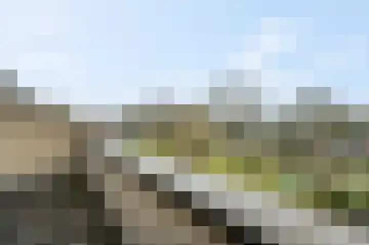 Floreslaan 82 Ede thumbnail 24