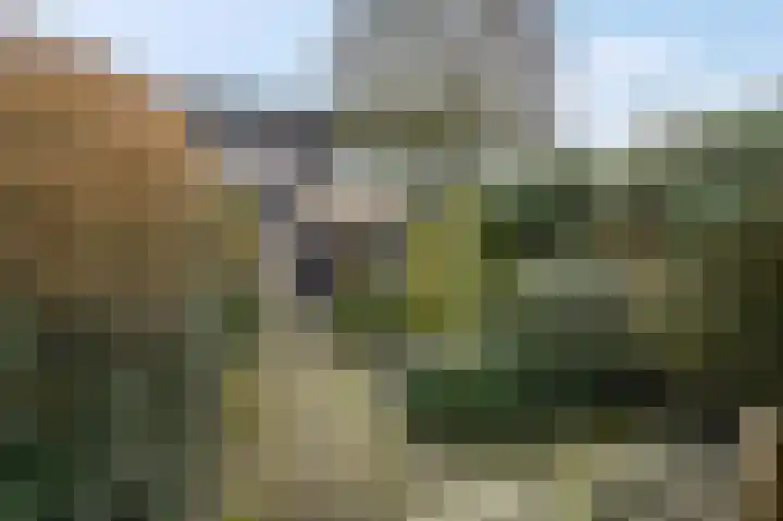 Floreslaan 82 Ede thumbnail 27
