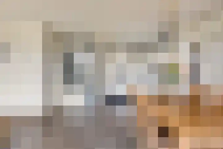 Florijn 35 Volendam thumbnail 8