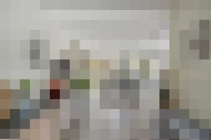 Florijn 39 Dronten thumbnail 10