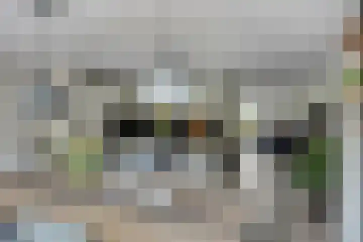 Florijn 39 Dronten thumbnail 11