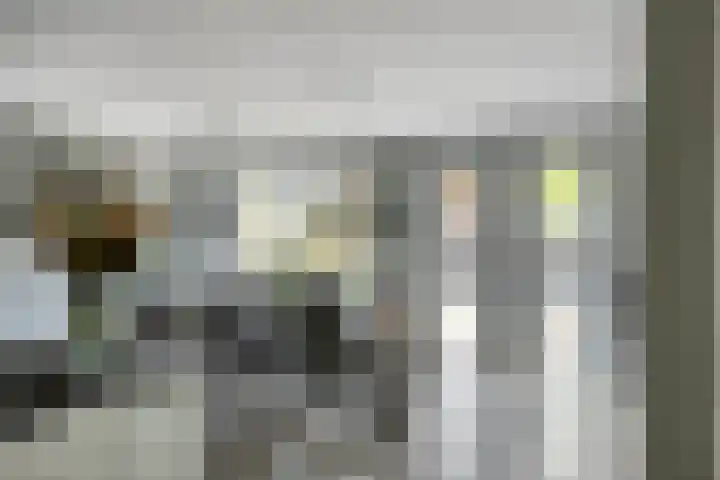 Florijn 39 Dronten thumbnail 13