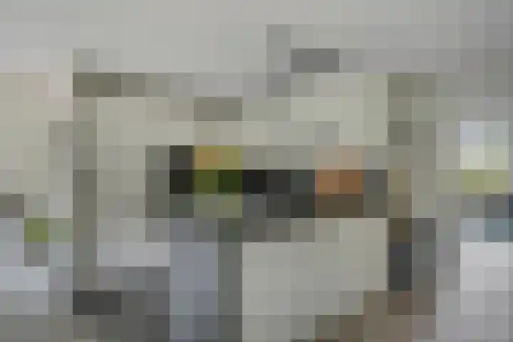 Florijn 39 Dronten thumbnail 15