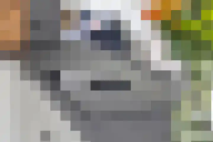 Florijn 39 Dronten thumbnail 17
