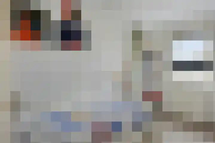 Florijn 39 Dronten thumbnail 23