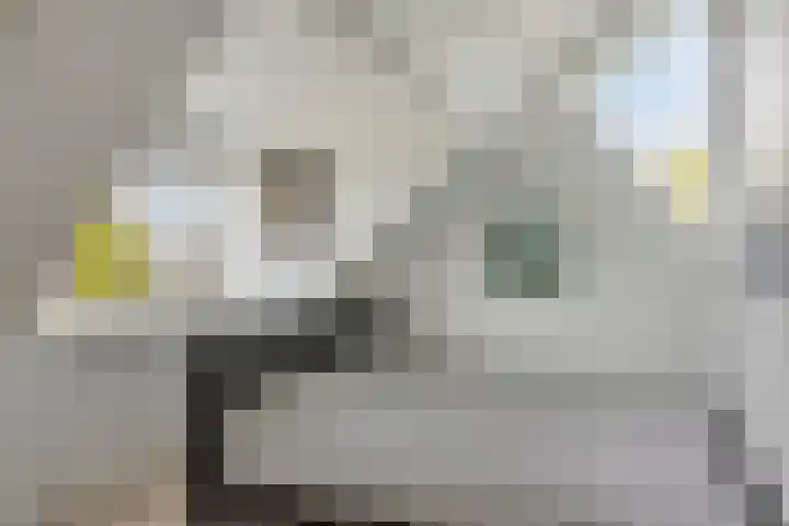 Florijn 39 Dronten thumbnail 31