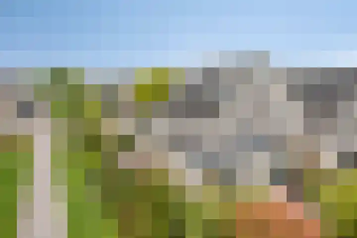 Florijn 39 Dronten thumbnail 34
